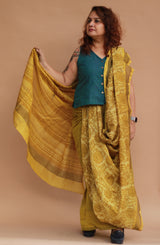 Rangg | Patli Pallu Saree | Chanderi & Mul | Yellow